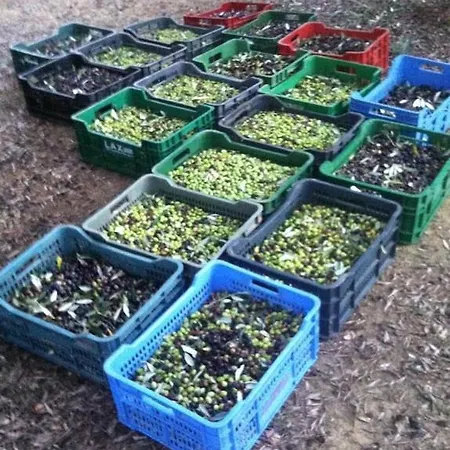 Larino Luxury In Tuscany With Breathtaking View Forcoli