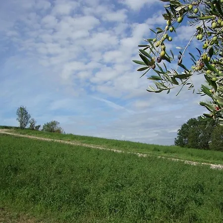 Larino Luxury In Tuscany With Breathtaking View * Forcoli