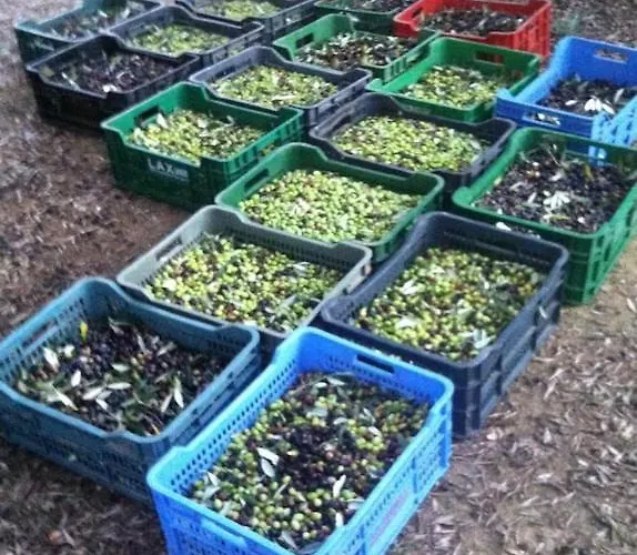 Larino Luxury In Tuscany With Breathtaking View Forcoli