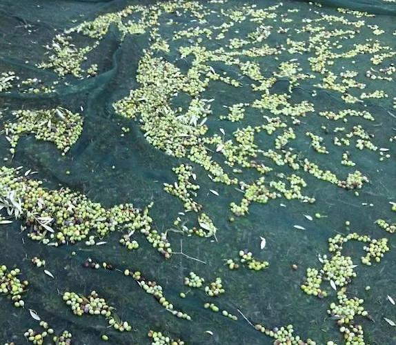 Larino Luxury In Tuscany With Breathtaking View فيلة Forcoli